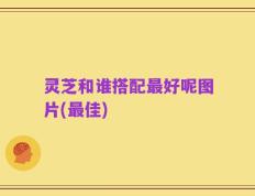 灵芝和谁搭配最好呢图片(最佳)