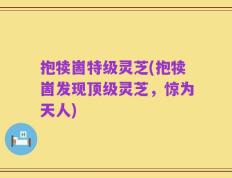 抱犊崮特级灵芝(抱犊崮发现顶级灵芝，惊为天人)