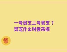 一号灵芝二号灵芝 ？灵芝什么时候采摘