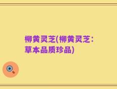 柳黄灵芝(柳黄灵芝：草本品质珍品)