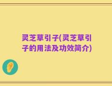 灵芝草引子(灵芝草引子的用法及功效简介)
