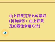 山上野灵芝怎么吃最好(优美常识：山上野灵芝的最佳食用方法)