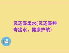 灵芝壶出水(灵芝壶神奇出水，健康护航)