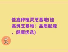佳鑫种植灵芝基地(佳鑫灵芝基地：品质起源、健康优选)