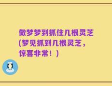 做梦梦到抓住几根灵芝(梦见抓到几根灵芝，惊喜非常！)