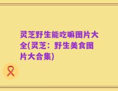 灵芝野生能吃嘛图片大全(灵芝：野生美食图片大合集)