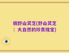 摘野山灵芝(野山灵芝：大自然的珍贵瑰宝)