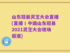 山东冠县灵芝大会直播(直播丨中国山东冠县2021灵芝大会现场报道)