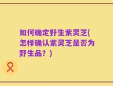 如何确定野生紫灵芝(怎样确认紫灵芝是否为野生品？)