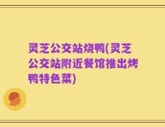 灵芝公交站烧鸭(灵芝公交站附近餐馆推出烤鸭特色菜)