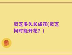 灵芝多久长成花(灵芝何时能开花？)