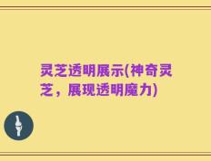 灵芝透明展示(神奇灵芝，展现透明魔力)