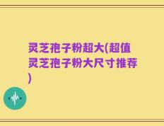 灵芝孢子粉超大(超值灵芝孢子粉大尺寸推荐)