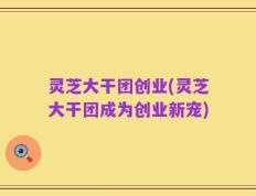 灵芝大干团创业(灵芝大干团成为创业新宠)