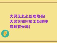 大灵芝怎么处理发亮(大灵芝如何加工处理使其具有光泽)