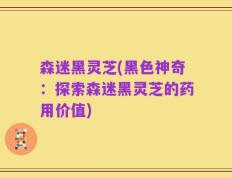 森迷黑灵芝(黑色神奇：探索森迷黑灵芝的药用价值)