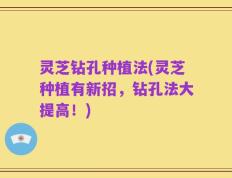灵芝钻孔种植法(灵芝种植有新招，钻孔法大提高！)