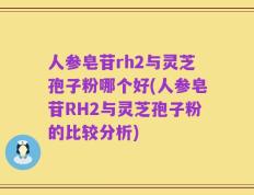 人参皂苷rh2与灵芝孢子粉哪个好(人参皂苷RH2与灵芝孢子粉的比较分析)