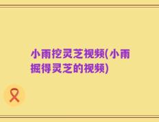 小雨挖灵芝视频(小雨掘得灵芝的视频)