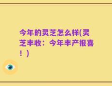 今年的灵芝怎么样(灵芝丰收：今年丰产报喜！)