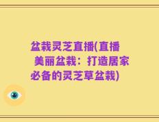 盆栽灵芝直播(直播  美丽盆栽：打造居家必备的灵芝草盆栽)