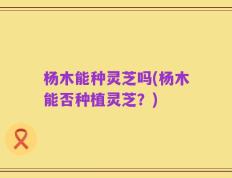 杨木能种灵芝吗(杨木能否种植灵芝？)