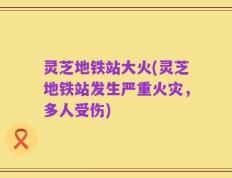 灵芝地铁站大火(灵芝地铁站发生严重火灾，多人受伤)