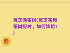 灵芝汤茶树(灵芝茶和茶树配对，如何饮用？)