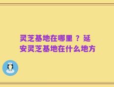 灵芝基地在哪里 ？延安灵芝基地在什么地方