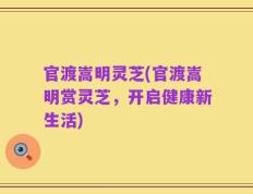 官渡嵩明灵芝(官渡嵩明赏灵芝，开启健康新生活)
