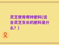 灵芝使用哪种肥料(适合灵芝生长的肥料是什么？)