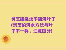 灵芝能浇水不能浇叶子(灵芝的浇水方法与叶子不一样，注意区分)