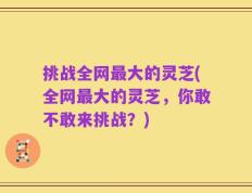 挑战全网最大的灵芝(全网最大的灵芝，你敢不敢来挑战？)