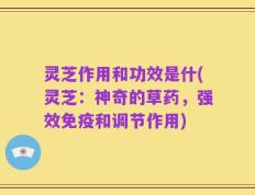 灵芝作用和功效是什(灵芝：神奇的草药，强效免疫和调节作用)