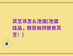 灵芝该怎么泡酒(泡酒佳品，教你如何使用灵芝！)