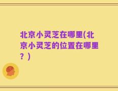 北京小灵芝在哪里(北京小灵芝的位置在哪里？)