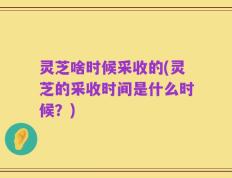 灵芝啥时候采收的(灵芝的采收时间是什么时候？)
