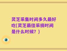 灵芝采集时间多久最好吃(灵芝最佳采摘时间是什么时候？)