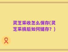 灵芝采收怎么保存(灵芝采摘后如何储存？)
