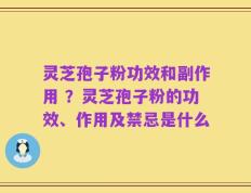灵芝孢子粉功效和副作用 ？灵芝孢子粉的功效、作用及禁忌是什么