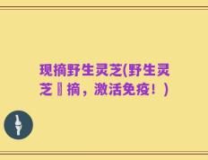 现摘野生灵芝(野生灵芝採摘，激活免疫！)