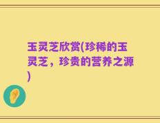 玉灵芝欣赏(珍稀的玉灵芝，珍贵的营养之源)
