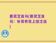 罴灵芝首乌(罴灵芝首乌：补肾养生上佳之选)
