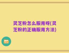 灵芝粉怎么服用呀(灵芝粉的正确服用方法)