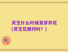 灵芝什么时候发芽开花(灵芝花期何时？)