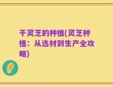 干灵芝的种植(灵芝种植：从选材到生产全攻略)