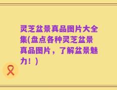 灵芝盆景真品图片大全集(盘点各种灵芝盆景真品图片，了解盆景魅力！)
