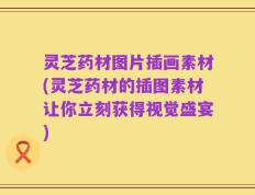 灵芝药材图片插画素材(灵芝药材的插图素材让你立刻获得视觉盛宴)