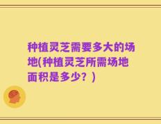 种植灵芝需要多大的场地(种植灵芝所需场地面积是多少？)