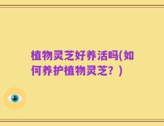 植物灵芝好养活吗(如何养护植物灵芝？)
